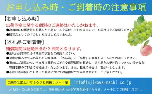 【2027年先行予約】【３回定期便】頬張る幸福感 ～緑の宝石・シャインマスカット～ 計３kg（1.0kg以上・2～3房を３回[9月上旬・中旬・下旬]お届け）　シャイン シャインマスカット ぶどう 葡萄 ブドウ 定期便 ３回 果物 くだもの フルーツ 山梨 やまなし 富士川町 シャインだけ シャインマスカットだけ