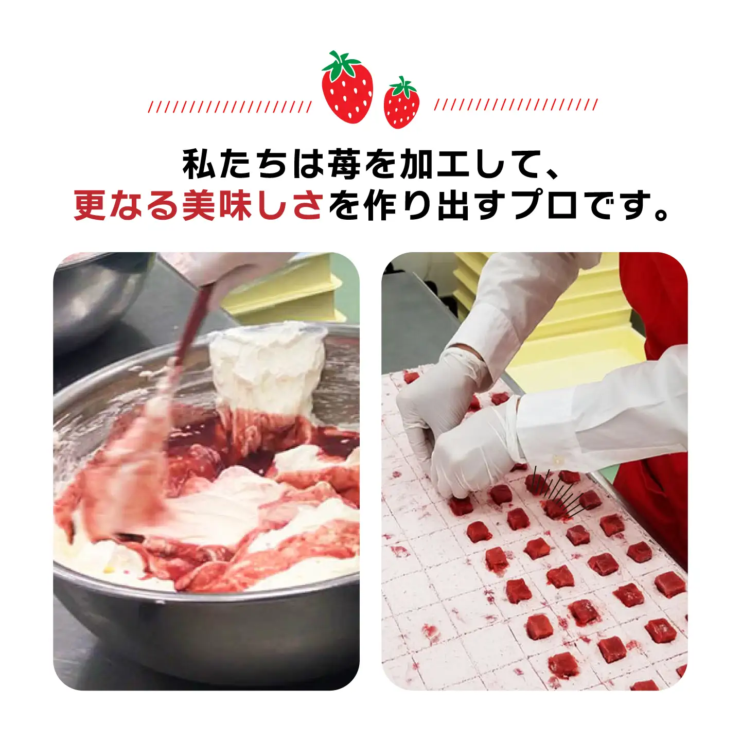 あまおう苺入りどら焼き「どらきんぐエース」8個セット(プレーン味4個+抹茶味4個)糸島市 / 株式会社エモテント[AVH006]