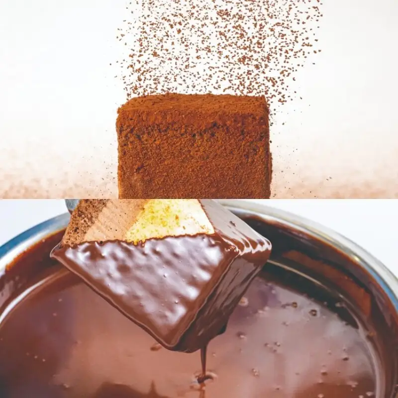 博多の石畳 約400g チョコレートケーキ