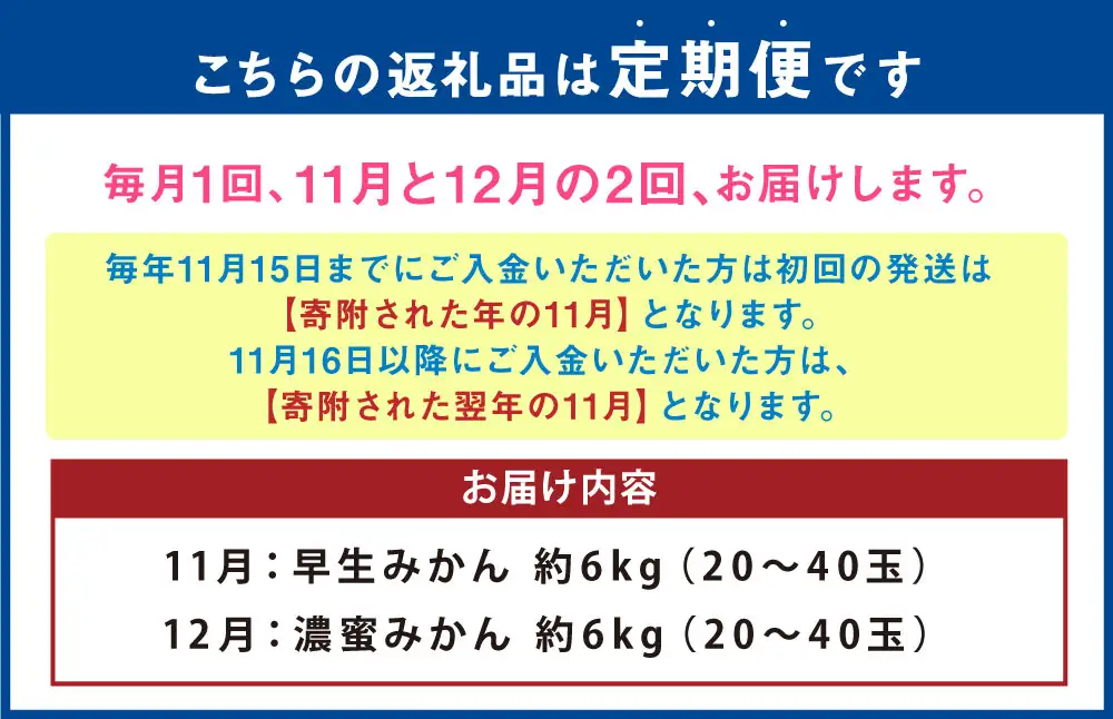 【 2か月定期便 】 熊本 みかん 定期便 （ 11月 ・ 12月発送 ） 果物 フルーツ 果実 果汁 果肉 国産 柑橘 冷蔵 定期 定期配送 旬 旬の果物