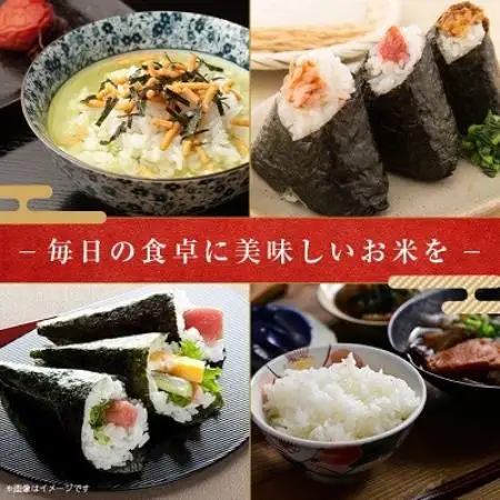 【発送月固定定期便】千葉県いすみ市産コシヒカリ 10kg(5kg×2袋)全6回【4094374】