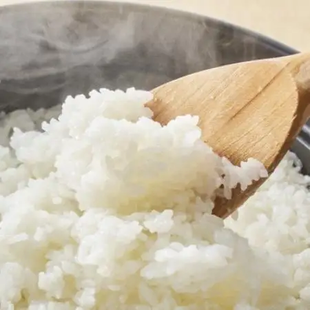 R8年産 濃厚な甘み! 岩船産コシヒカリ 精米6kg(2kg×3袋)[農家民宿おくやま]【1789689】
