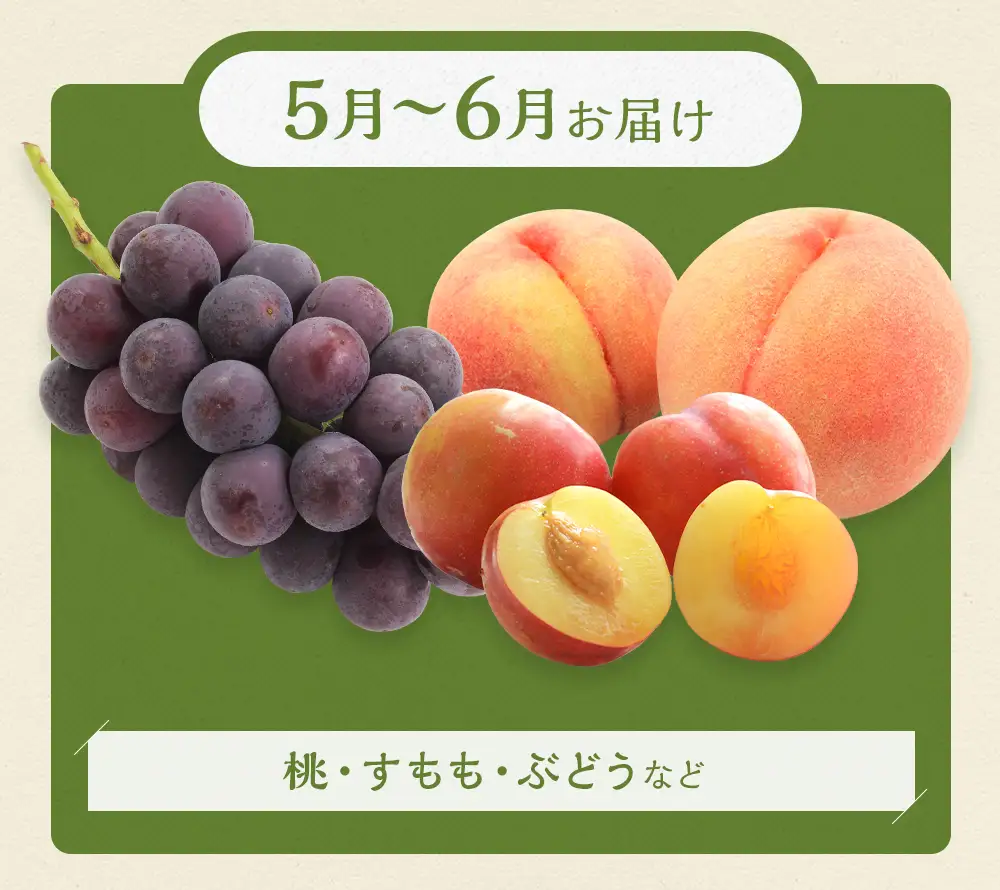 【5月～6月発送】 旬の果物 詰め合わせ セット 福岡県産 フルーツ 季節 果物