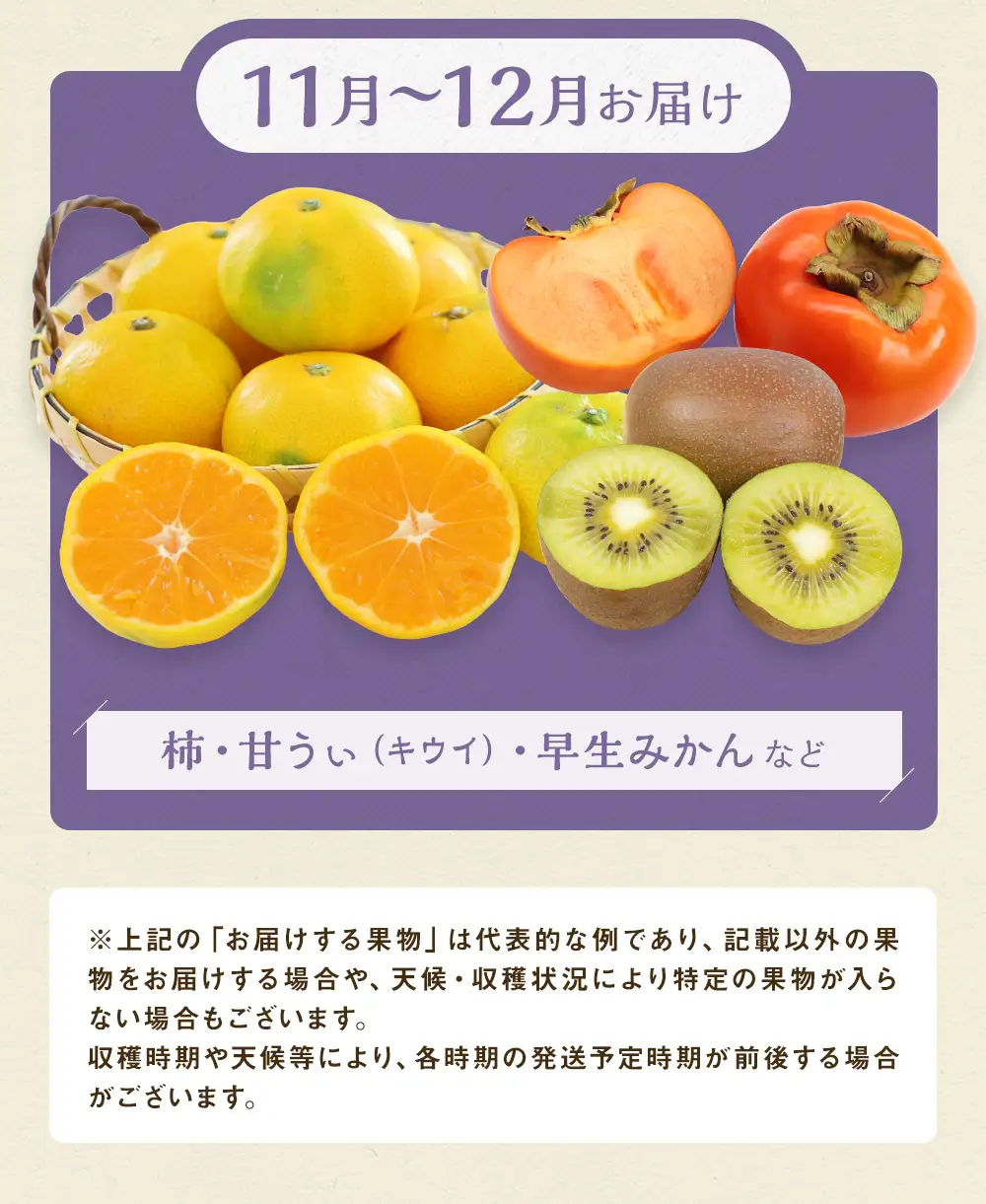【11月～12月発送】 旬の果物 詰め合わせ セット 福岡県産 フルーツ 季節 果物