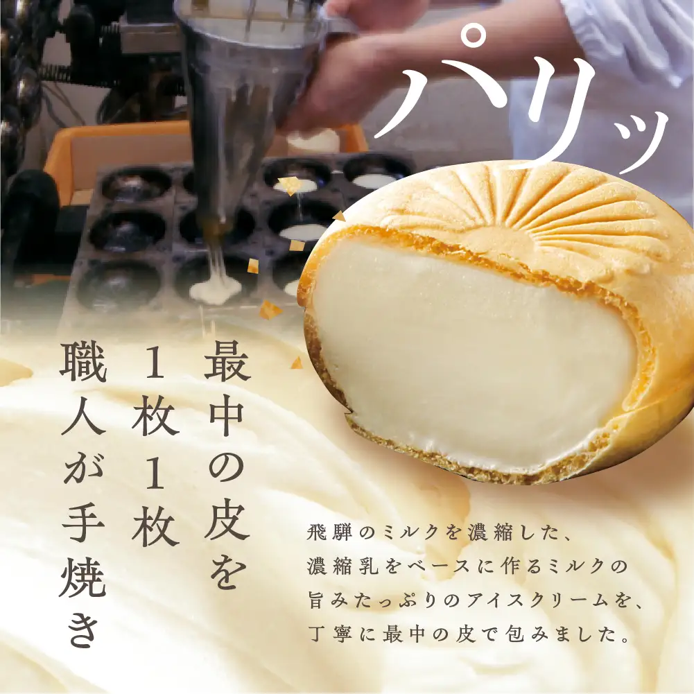 飛騨 ミルクの旨味たっぷり アイスクリーム 福袋 [Q123] アイス