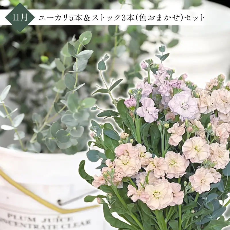 【2027年先行予約】【定期便3回】季節の切り花定期便(7月紅花、9月ユーカリ＆千日紅、11月ストック＆ユーカリ) F2Y-7084