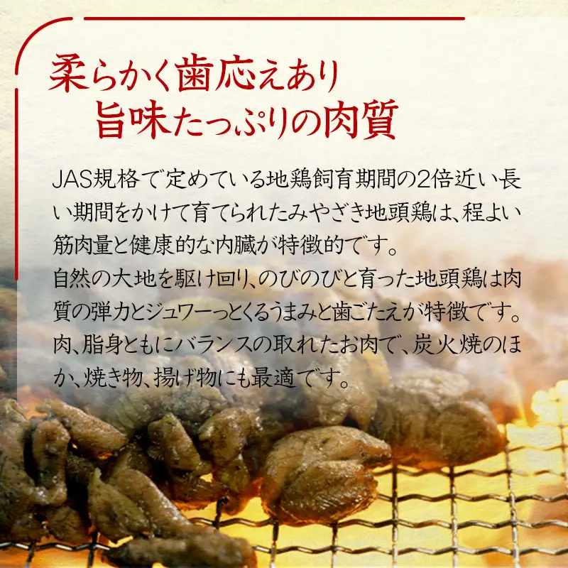 「みやざき地頭鶏」1羽セット 鍋用特製スープ付＜50-2a＞地鶏鍋 ブランド地鶏