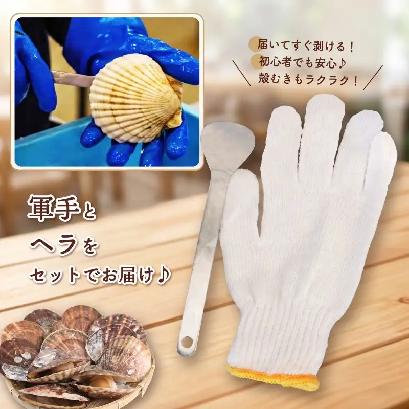 訳あり 活ホタテMサイズ 25枚(10cm~11cm) 軍手 ヘラ付き
