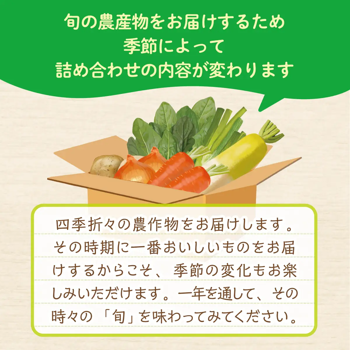 飯舘村 旬の農産物詰め合わせ ITTAM010