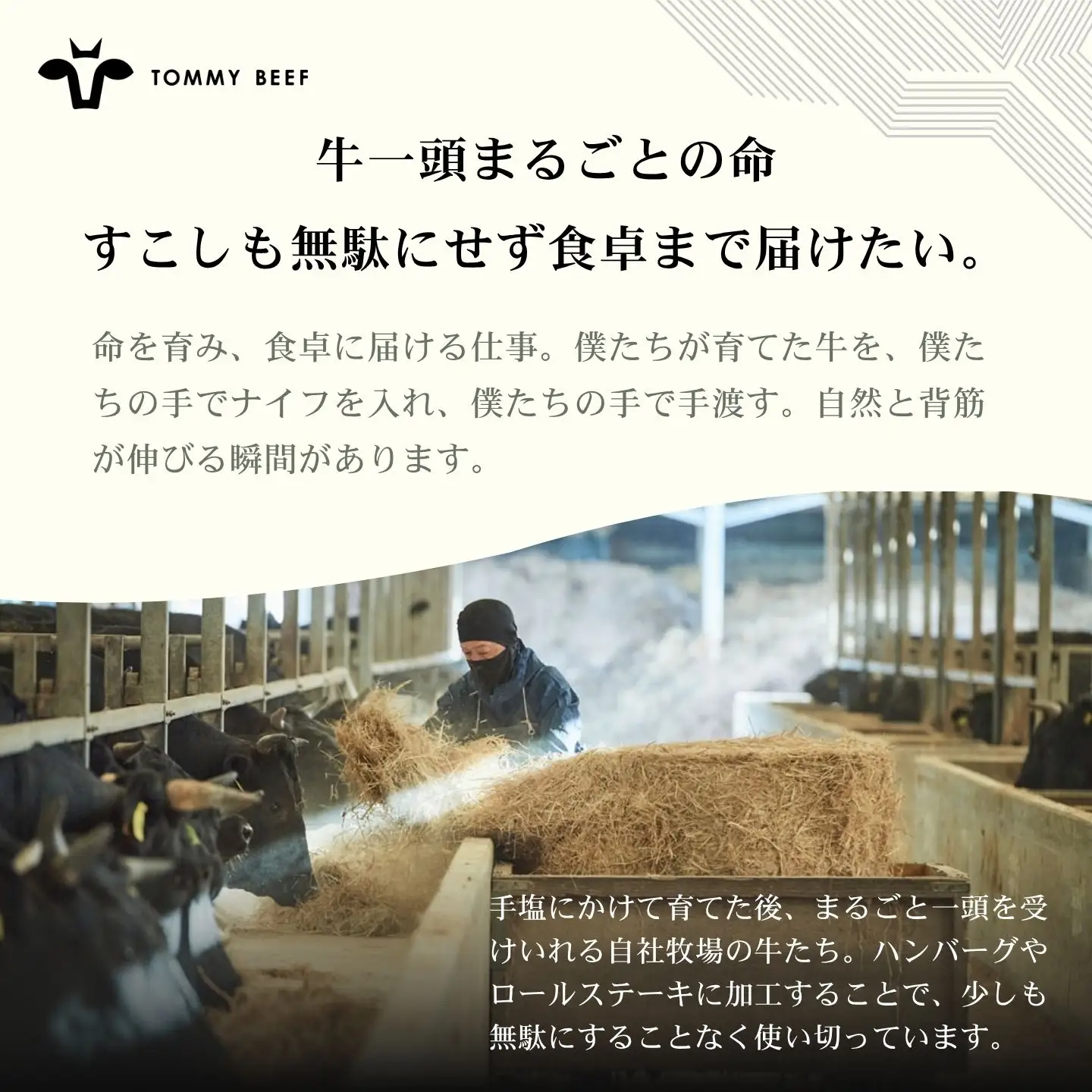 【佐賀牛定期便】ミルフィーユロールステーキ6個　全12回：C136-010