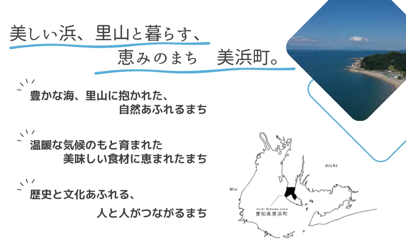 【定期便6回】 【 新米 令和8年産 】愛知県産 コシヒカリ 20kg | 美浜町