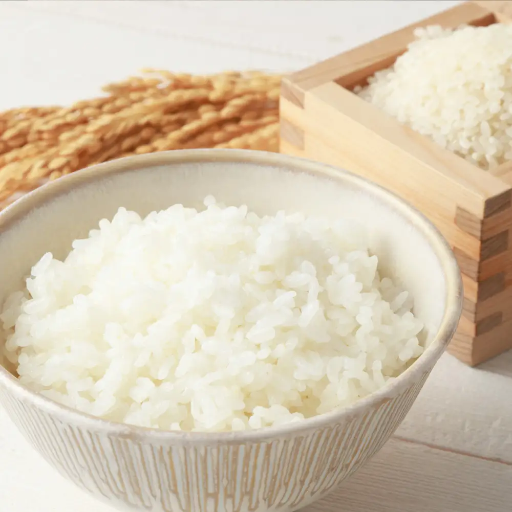 星農園産ななつぼし 精米 10kg(10kg × 1袋) 定期便 6回　ななつぼし