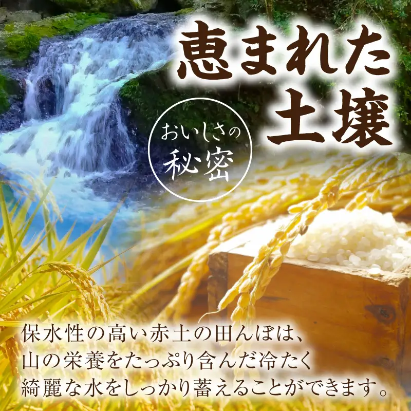 令和８年産　ふっくらもっちり　夢つくし　５kg（精米） _ATS0108