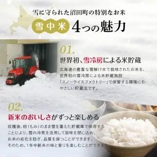 令和8年産【定期便12ヶ月】特Aランク米 ゆめぴりか 無洗米 10kg（5kg×2袋） 【1月発送】開始 雪冷気 籾貯蔵 雪中米 北海道   nr-3762