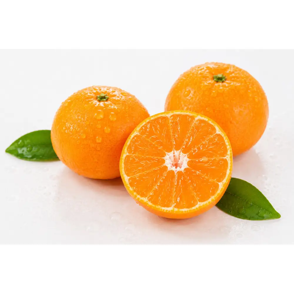 温州みかん　大玉　約３kg（10月中旬以降発送）