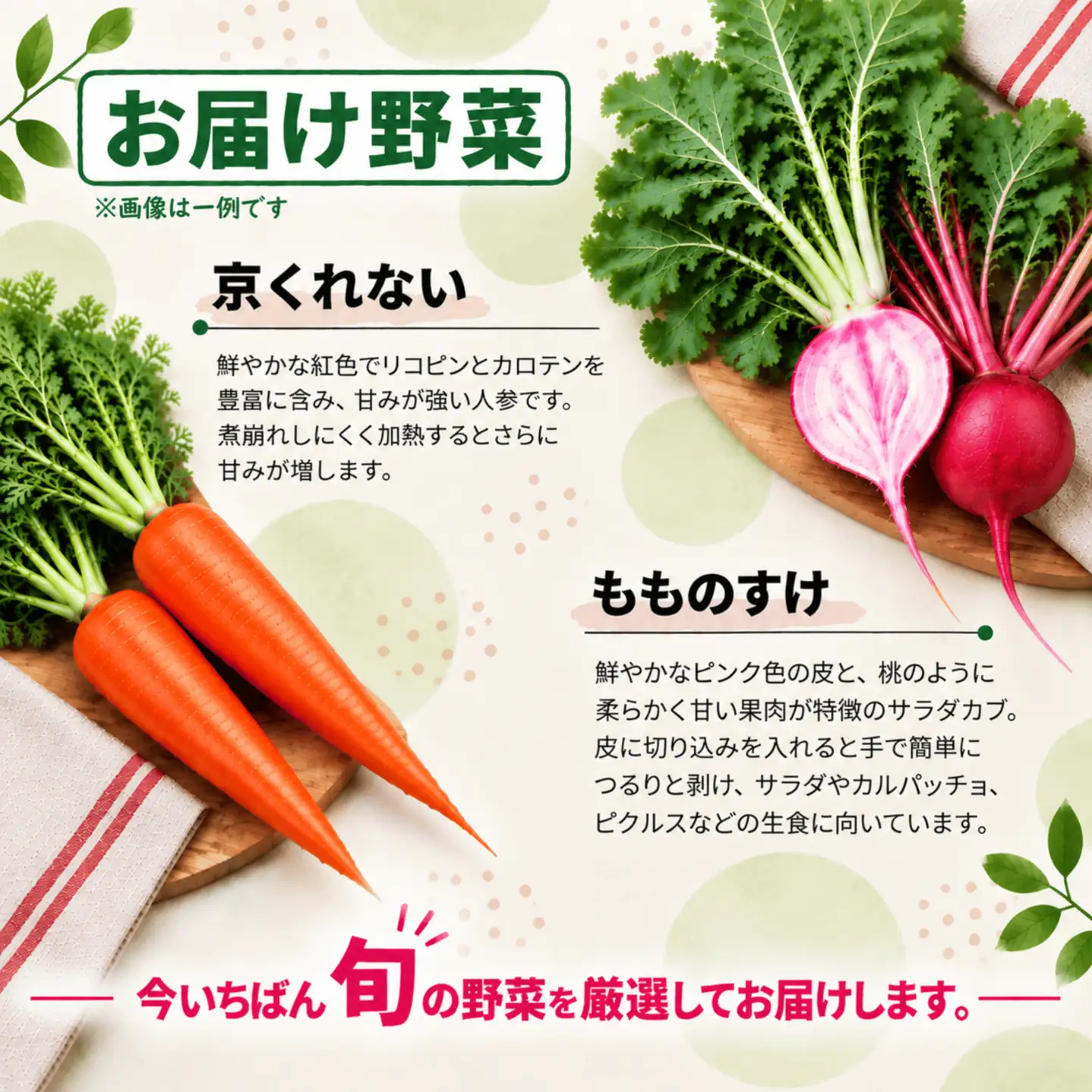 やまもと農産のオーガニック野菜詰め合わせ 約5kg