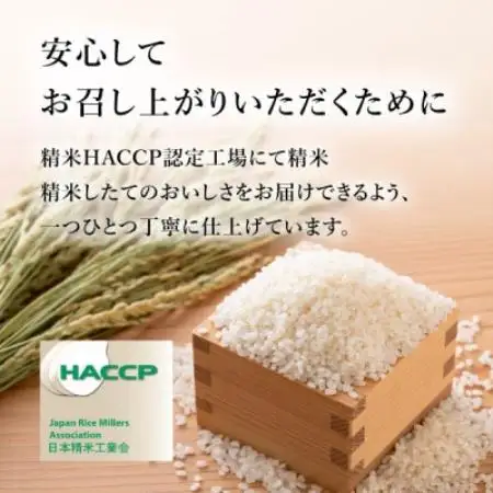 令和8年産 岐阜県産ハツシモ 精米 10kg　FTA290【1788717】