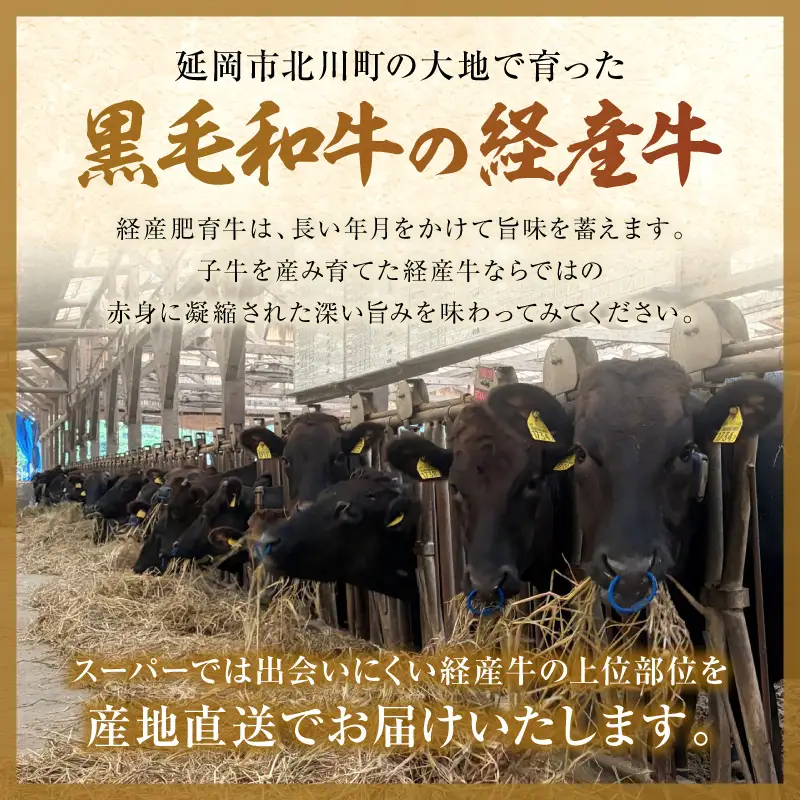 延岡産黒毛和牛(経産牛)1頭食べ尽くしセット N0221-YD0275
