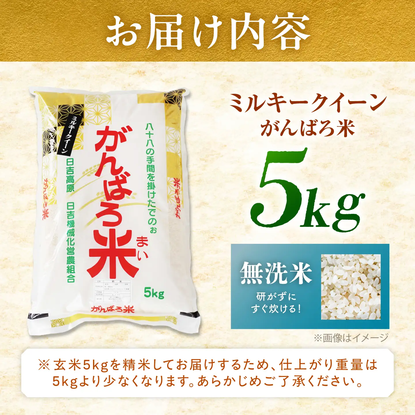 【令和8年産】ミルキークイーン 5kg 無洗米 [AZBW010] 無洗