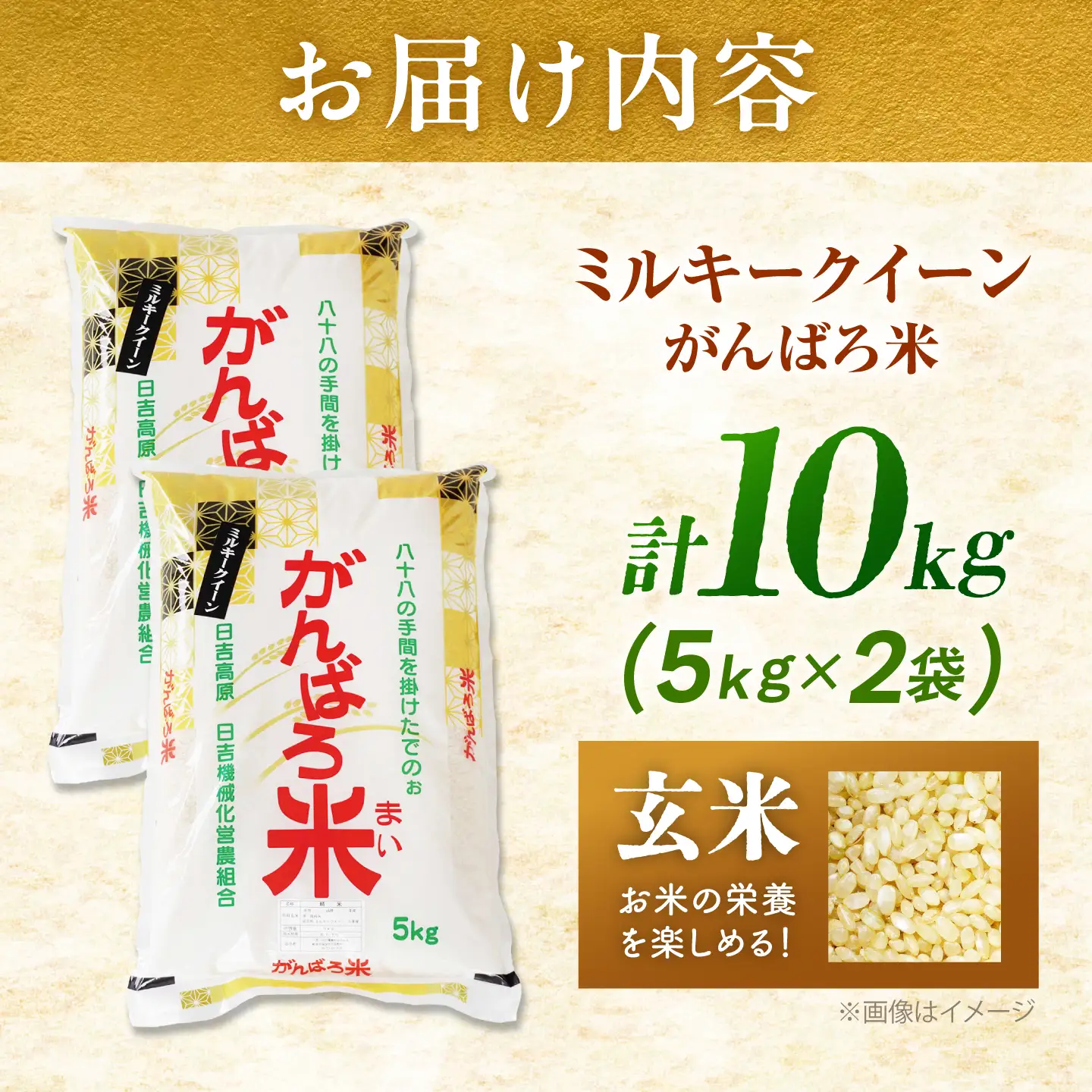 【令和8年産】玄米 10kg [AZBW011] 玄米