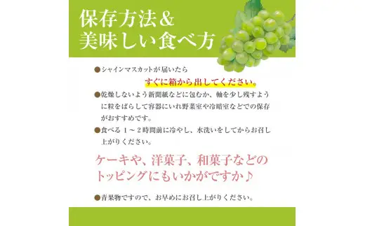 シャインマスカット 【2027年発送】秀品 山梨 4房 (約2.2kg) ぶどう 葡萄 山梨県 フルーツ 果物 くだもの ギフト 産地直送 人気  Inakakara厳選 [5839-1980]
