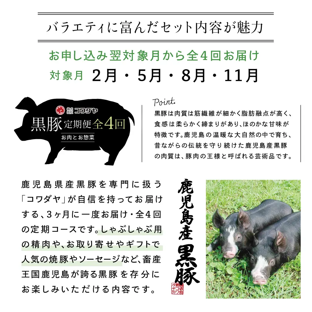 【定期便】コワダヤの黒豚食べ比べ 全4回 （しゃぶしゃぶ・ハム・ソーセージ・焼豚） 豚肉 バラ ロース 焼き豚 ウインナー 惣菜 鹿児島