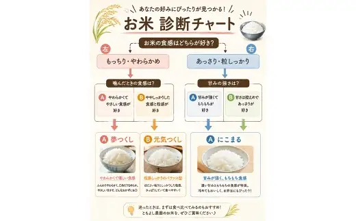 元気つくし 3kg 白米 お米 米 こめ コメ 白飯 飯 ご飯 おにぎり 国産 福岡県産