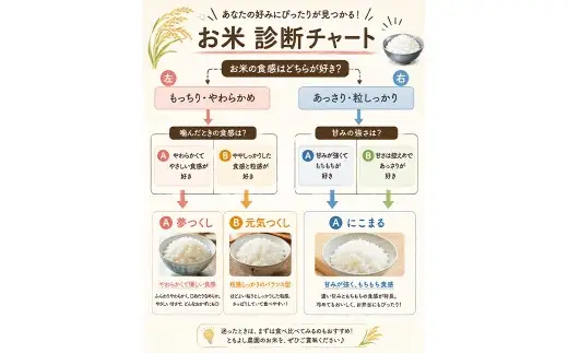 夢つくし 2kg 無洗米 お米 米 こめ コメ 白飯 飯 ご飯 おにぎり 国産 福岡県産
