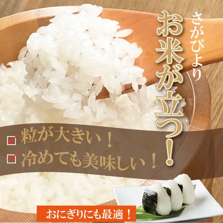 先行予約 令和8年産 さがびより【12月配送】佐賀ブランド米 さがびより10kg（5kg×2）潮風F 白米 B150-058-12
