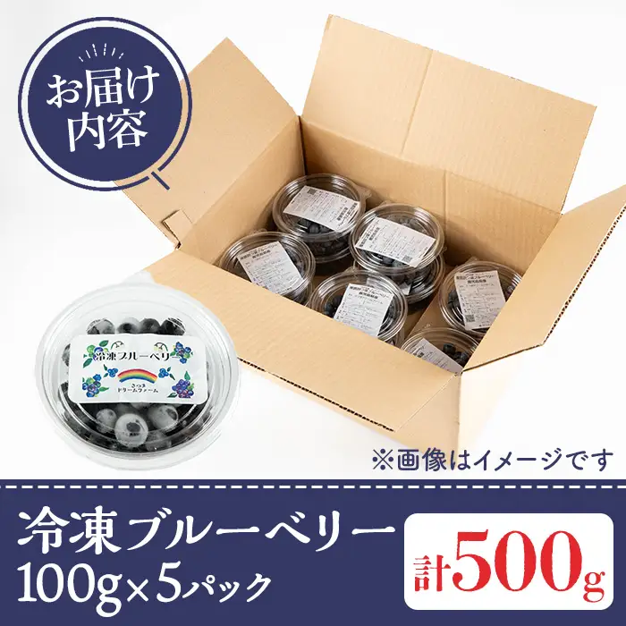 《数量限定》冷凍ブルーベリー(計500g・100g×5パック) 冷凍 無農薬 国産 九州産 鹿児島県産 くだもの 果物 フルーツ シャーベット ジャム フローズン ベリー おやつ デザート 【体験型観光農園さつまドリームファーム】_y610