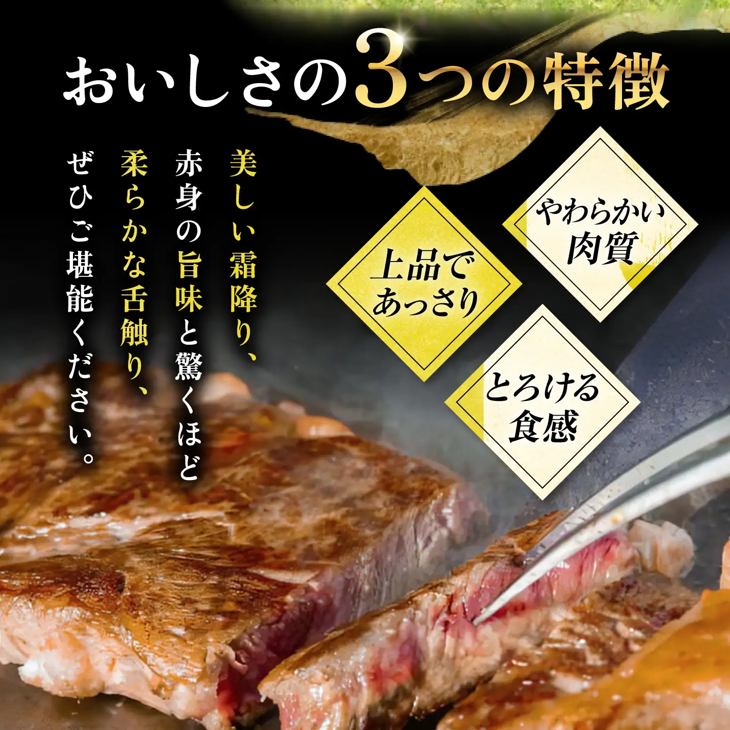 切り落とし 壱岐牛 500g [JDD043] 切り落とし 小分け