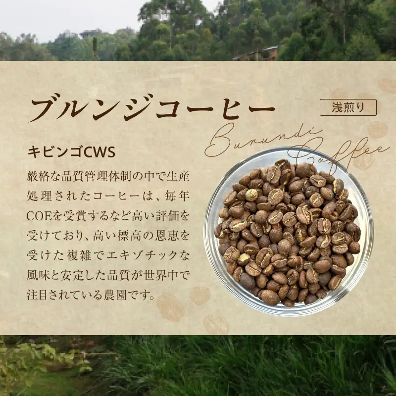 風味際立つ 手鍋焙煎コーヒー豆 ～アフリカ編～ （粉） 200g×2袋 _SC0808