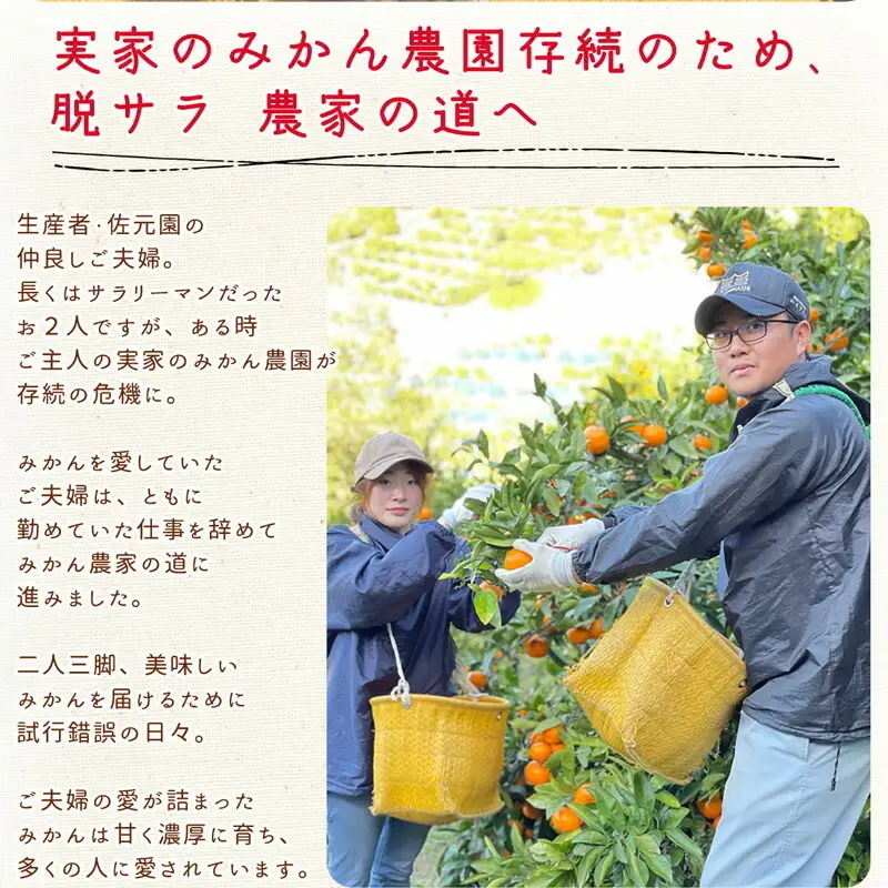 和歌山県産 有田みかん【訳あり 家庭用】約2kg 小玉 3S～Sサイズ おまかせ_DI6064