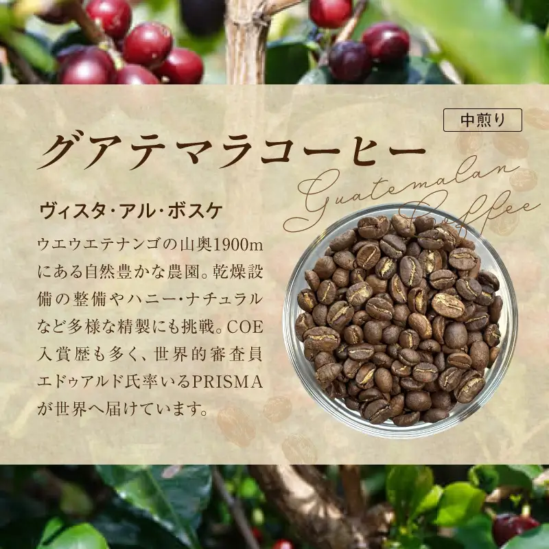 風味際立つ 手鍋焙煎コーヒー豆 ～中米編～ （豆） 200g×2袋 _SC0908