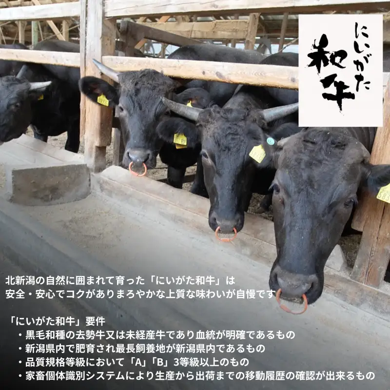 肉 和牛 サーロインステーキ 500g にいがた和牛 黒毛和牛 牛肉 ギフト 贈答用 300g×2袋 グルメ お取り寄せ 新発田市産 ごちそう 精肉 新潟県 新発田市 yoneichi014