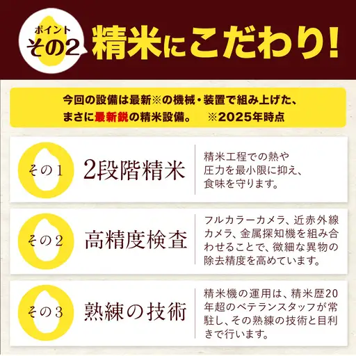 白米 令和8年産 新米 ひのひかり 森のくまさん 20kg 3ヶ月 定期 白米
