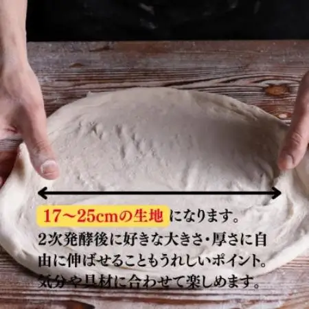 【ナポリのピザ生地 170g 15個】17-25cm分 ★本格ピザを自宅で★失敗しないマニュアル付【配送不可地域：離島】【1789005】