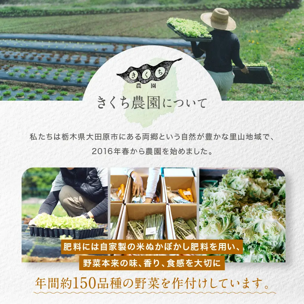 農家からお届け！旬のお野菜たっぷり8種セット