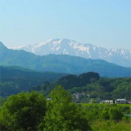 R8年産 新潟三大銘柄「岩船産」新之助 精米10kg(5kg×2袋) [ONODERAファーム]【1790027】