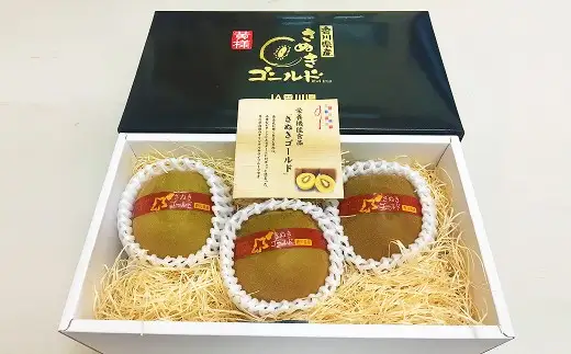 香川県産 さぬきゴールドキウイ 約800g化粧箱　特大3玉_Z2600533