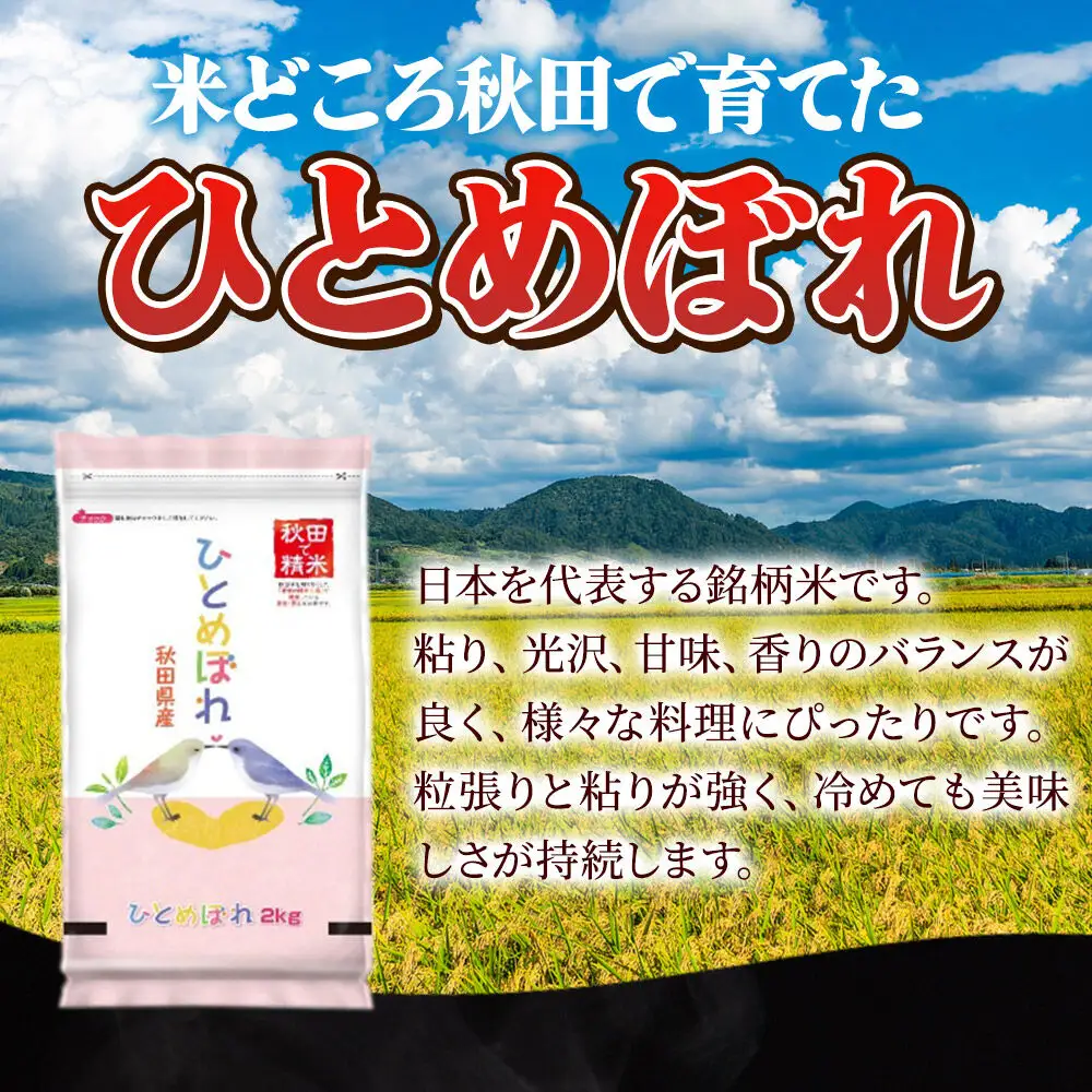 米《定期便9ヶ月》ひとめぼれ・めんこいな【白米（一般精米）】 米どころ秋田県産 令和8年産 精米 8kg（2kg×4袋）