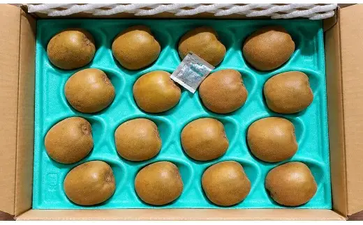 香川県産 さぬきゴールドキウイ 約3.5㎏　大玉　6L-4L　16玉入_Z2600537