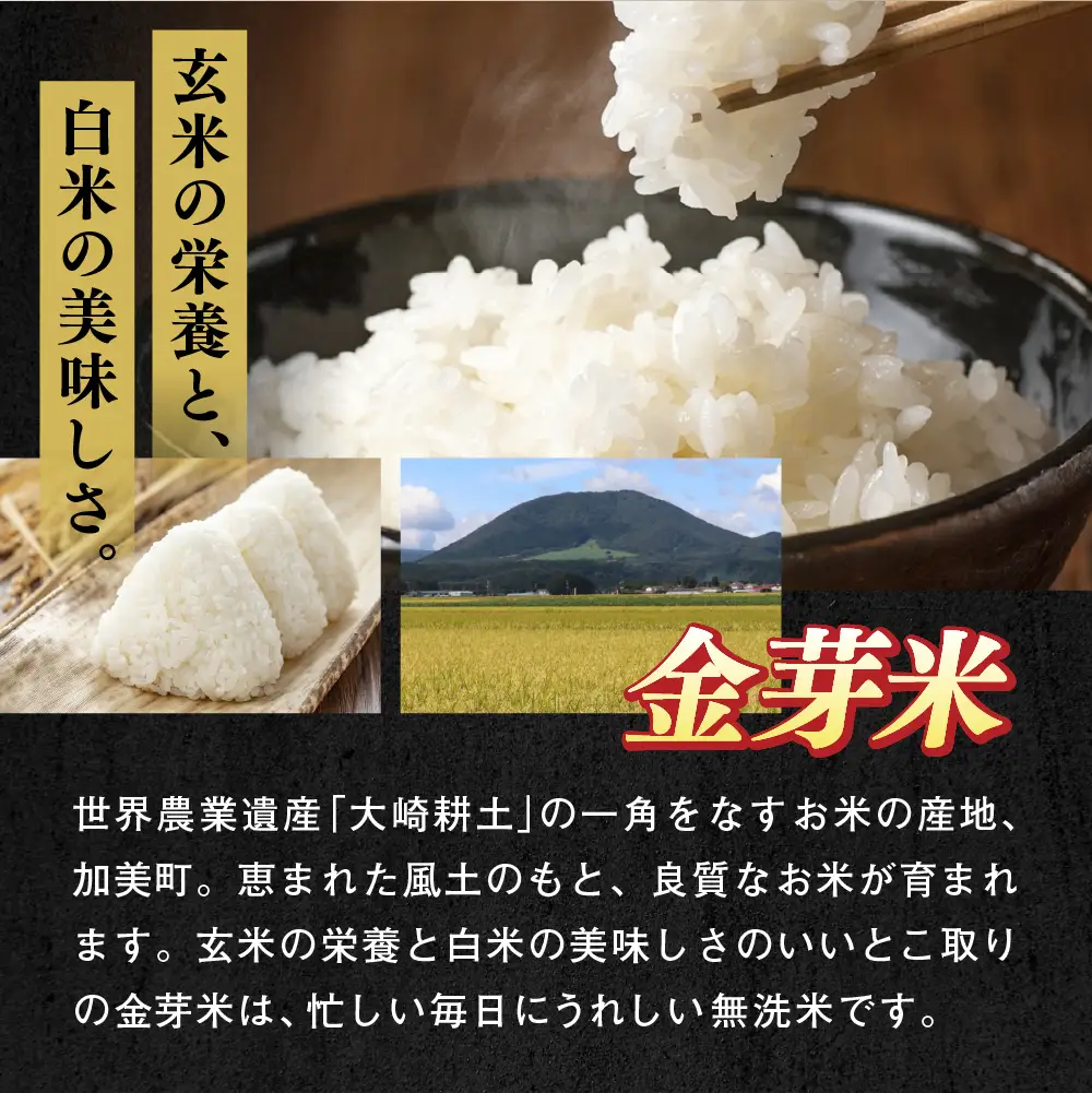 【加美×尾花沢 ルート347コラボB】栄養と旨みの金芽米5kg×極上の旨み尾花沢牛 A4-5 すき焼き用 モモ スライス 180g