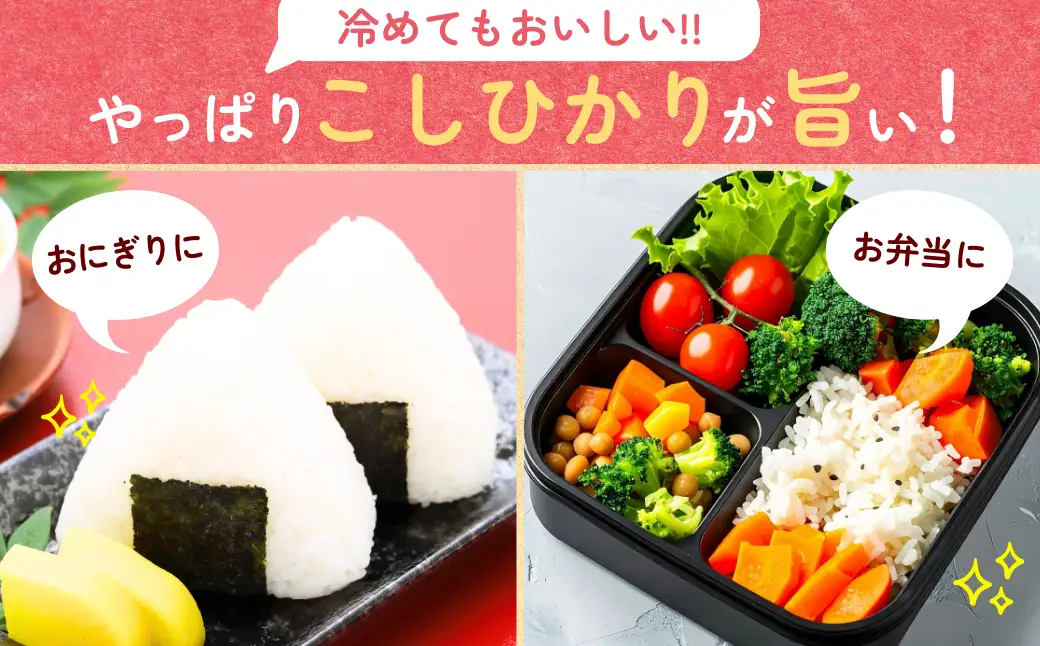 【令和8年度産】【定期便12ヶ月】コシヒカリ 精米 10kg 天皇杯受賞！横田農場の特別栽培米こしひかり 茨城県 龍ケ崎市