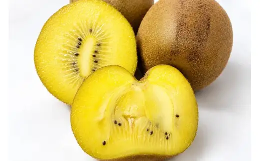 香川県産 さぬきゴールドキウイ 訳あり　約2kg　8-20玉入_Z2600538