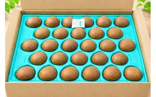 香川県産 さぬきエンジェルスイートキウイ 約2kg　2L-S　24－28玉入_Z2600544