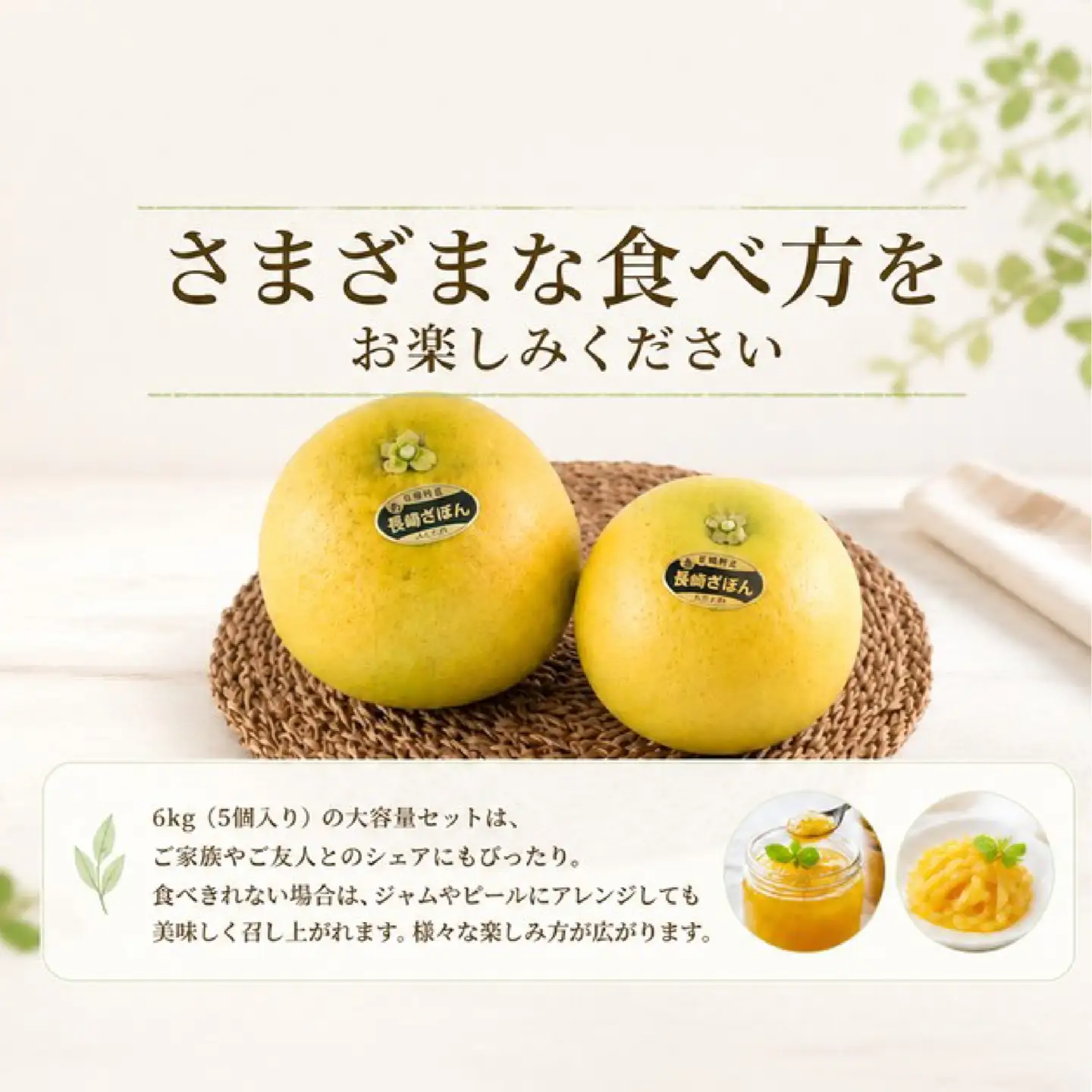 【 先行予約 】 ざぼん 5個 セット (約 6kg) 贈答用 柑橘 果物 ザボン 減農薬 お歳暮 ギフト のし対応 ジューシー 川上文旦堂 