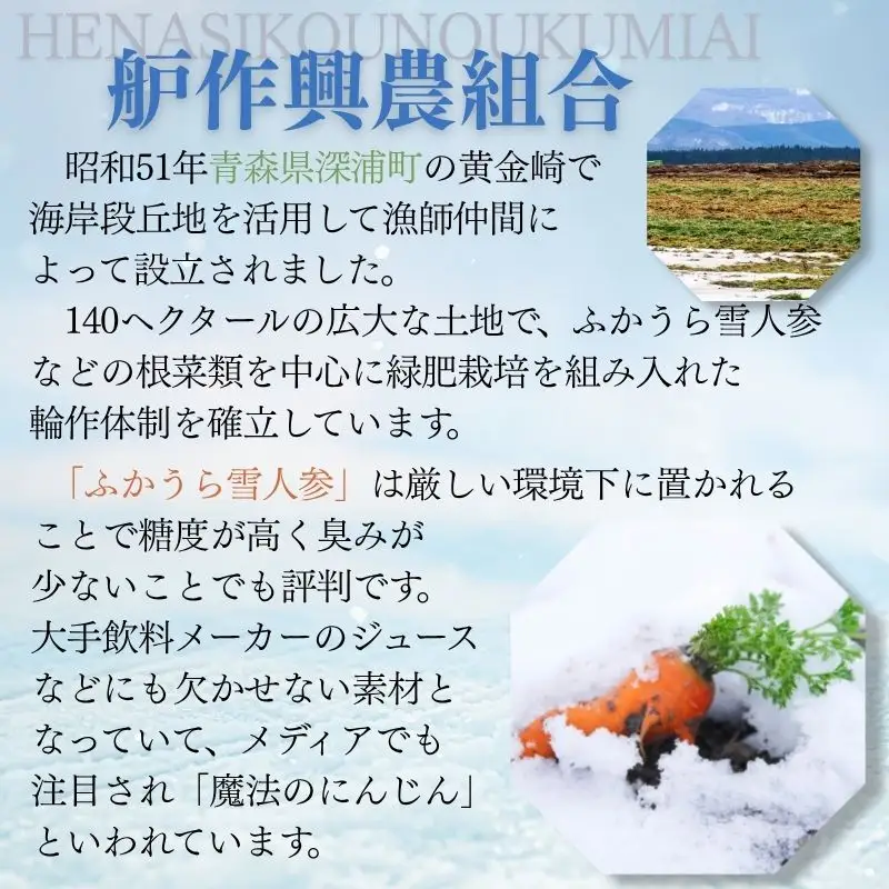 【冬季数量限定】ふかうら雪人参 約5kg 青森県 深浦町産