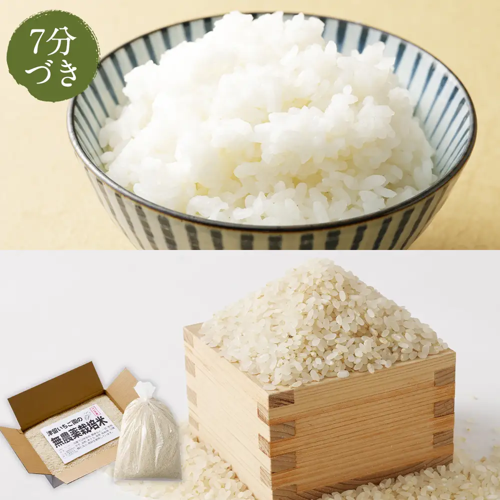 津留いちご園のお米 7分づき 農薬 ・ 化学肥料不使用 ( 栽培期間中 ) 10kg 米 白米 ご飯 白飯 おにぎり 和食 国産 福岡県産 【 2026年11月上旬-2027年10月下旬発送予定 】