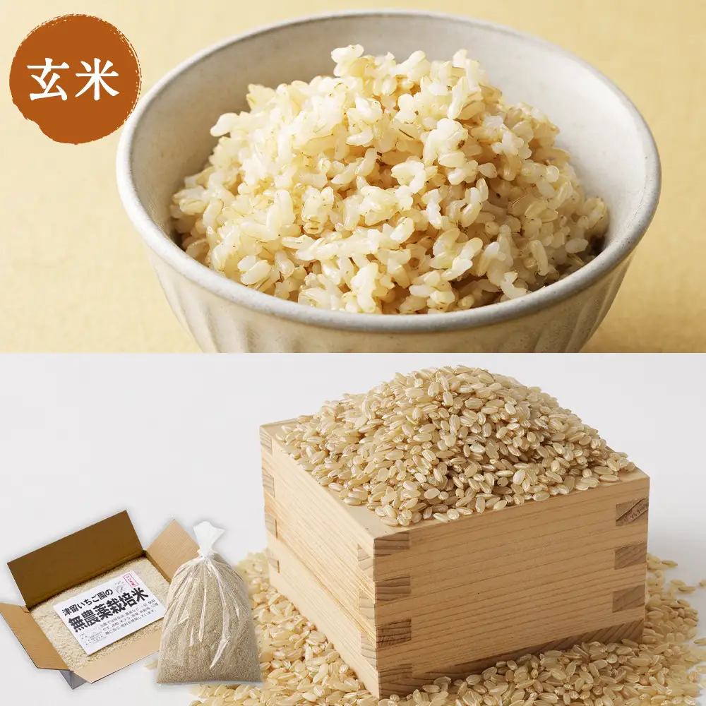 津留いちご園のお米 玄米 農薬 ・ 化学肥料不使用 ( 栽培期間中 ) 10kg 米 ご飯 白飯 おにぎり 和食 国産 福岡県産 【 2026年11月上旬-2027年10月下旬発送予定 】